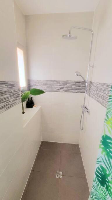 Superbe T2 Cosy Plein Centre Daire Narbonne Dış mekan fotoğraf